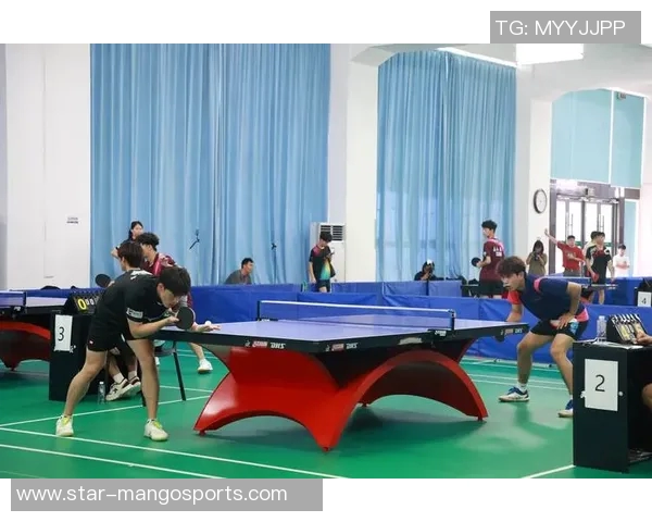 武汉乒乓球队在锦标赛中的灵活性表现分析与点评