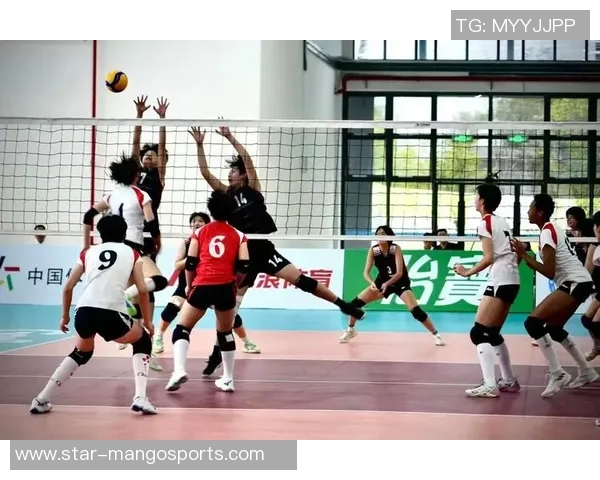 上海排球队的奋斗与荣耀：一段不平凡的排球突破历程纪实