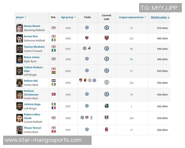 杨伟畅谈网球生涯与欧冠足球的精彩交汇与人生启示