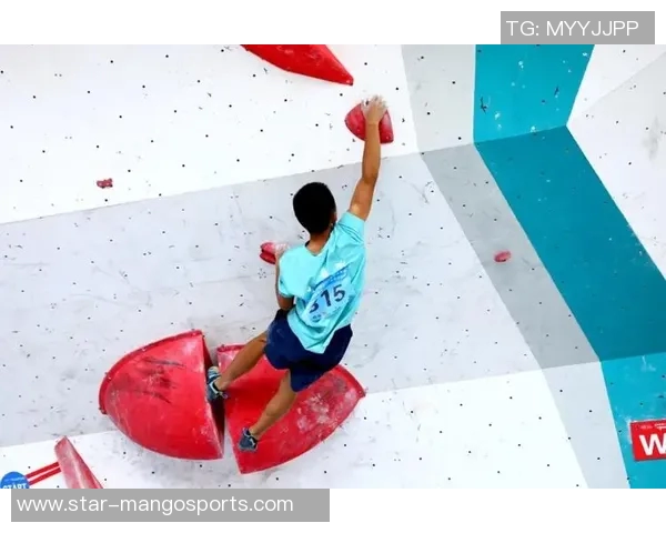 南京攀岩队状态分析运动聚焦攀岩项目的训练与发展现状探讨