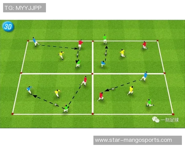 赛后分析西安足球队与深圳足球队在比赛中的战术灵活性与应变能力