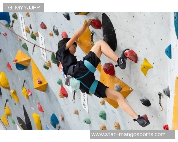 运动数据攀岩深度探索上海攀岩队的区域防守策略与战术解析