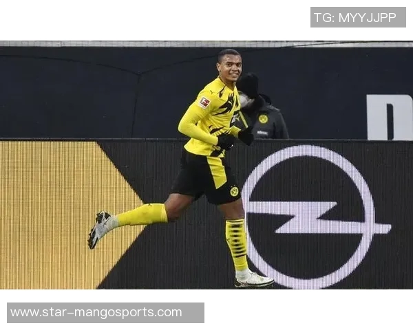 运动最新数据北京网球队战术解析：深入探讨盯防体系的策略与应用