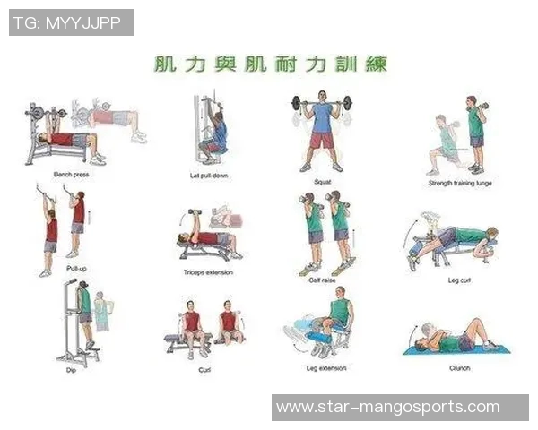运动最新数据武汉排球队与北京排球队耐力对决赛后分析与总结