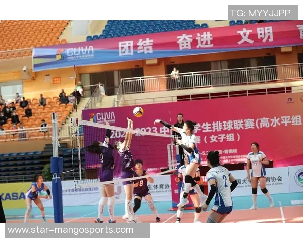 今年运动数据重庆排球队的力量揭秘排球巨献背后的拼搏与荣耀